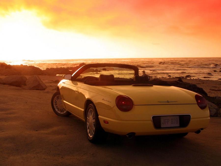  Ford Thunderbird 2002 года  (фото 152 из 161)